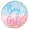 Folienballon Boy or Girl Baby Partydeko Ballon